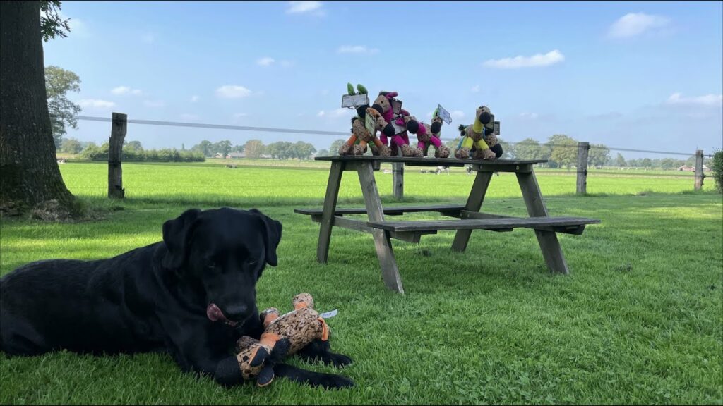 Retro Dog Donkey Groen M - Speelgoed voor Honden - afbeelding 3