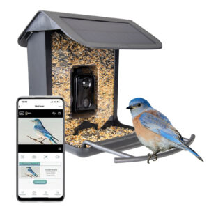 Hofman Animal Care AI Bird Feeder met Camera - Slim Vogelvoerhuisje
