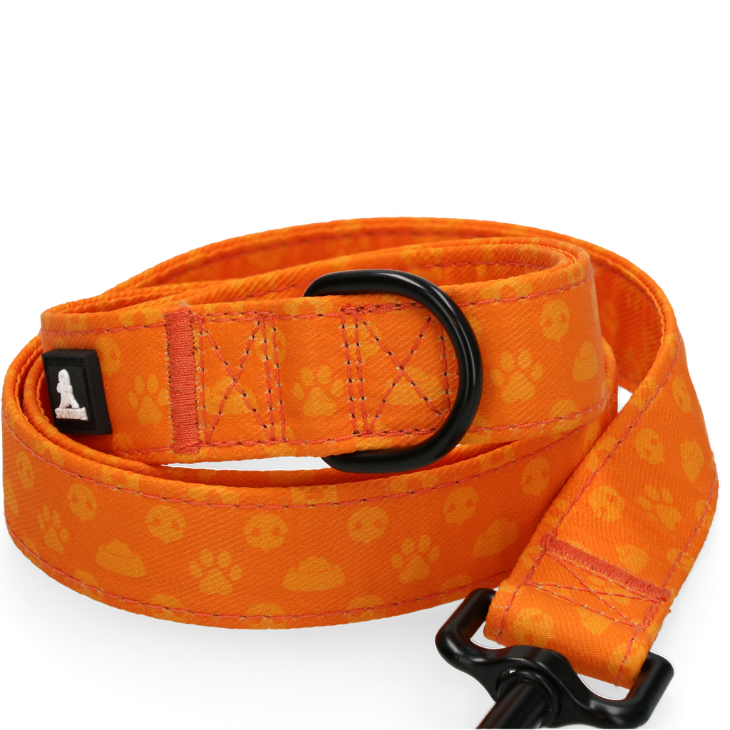 Spotted! Pro Perfect Leash 120 cm Oranje - Hondenriem - afbeelding 3