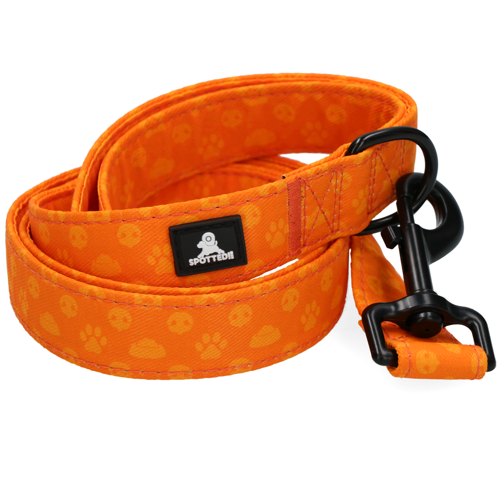 Spotted! Pro Perfect Leash 120 cm Oranje - Hondenriem - afbeelding 4