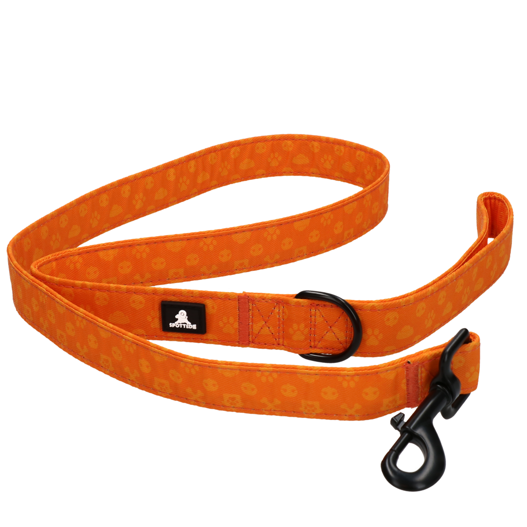 Spotted! Pro Perfect Leash 120 cm Oranje - Hondenriem - afbeelding 5
