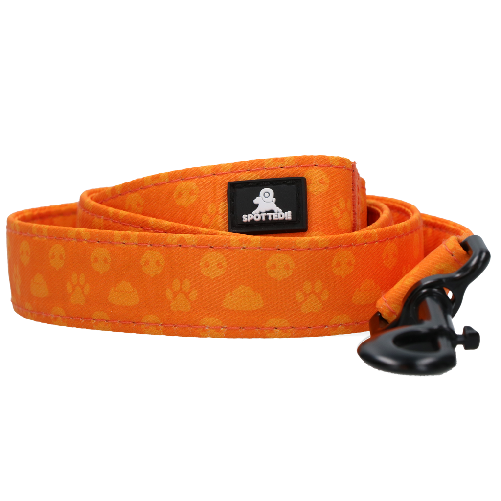 Spotted! Pro Perfect Leash 120 cm Oranje - Hondenriem - afbeelding 2