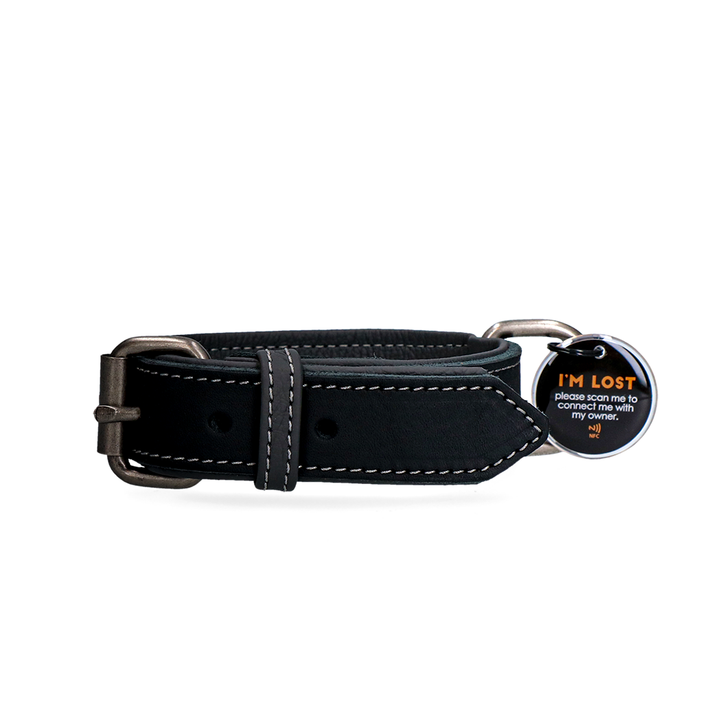 Spotted! Pro Leren Halsband Zwart 2,5 x 40 cm - afbeelding 1