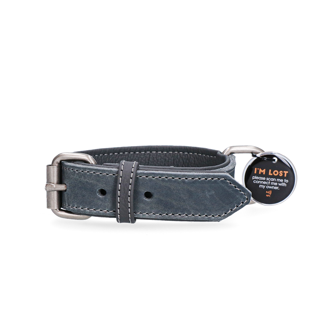 Spotted! Pro Leren Halsband Grijs 2,5 x 50 cm - Duurzaam en Comfortabel - afbeelding 1