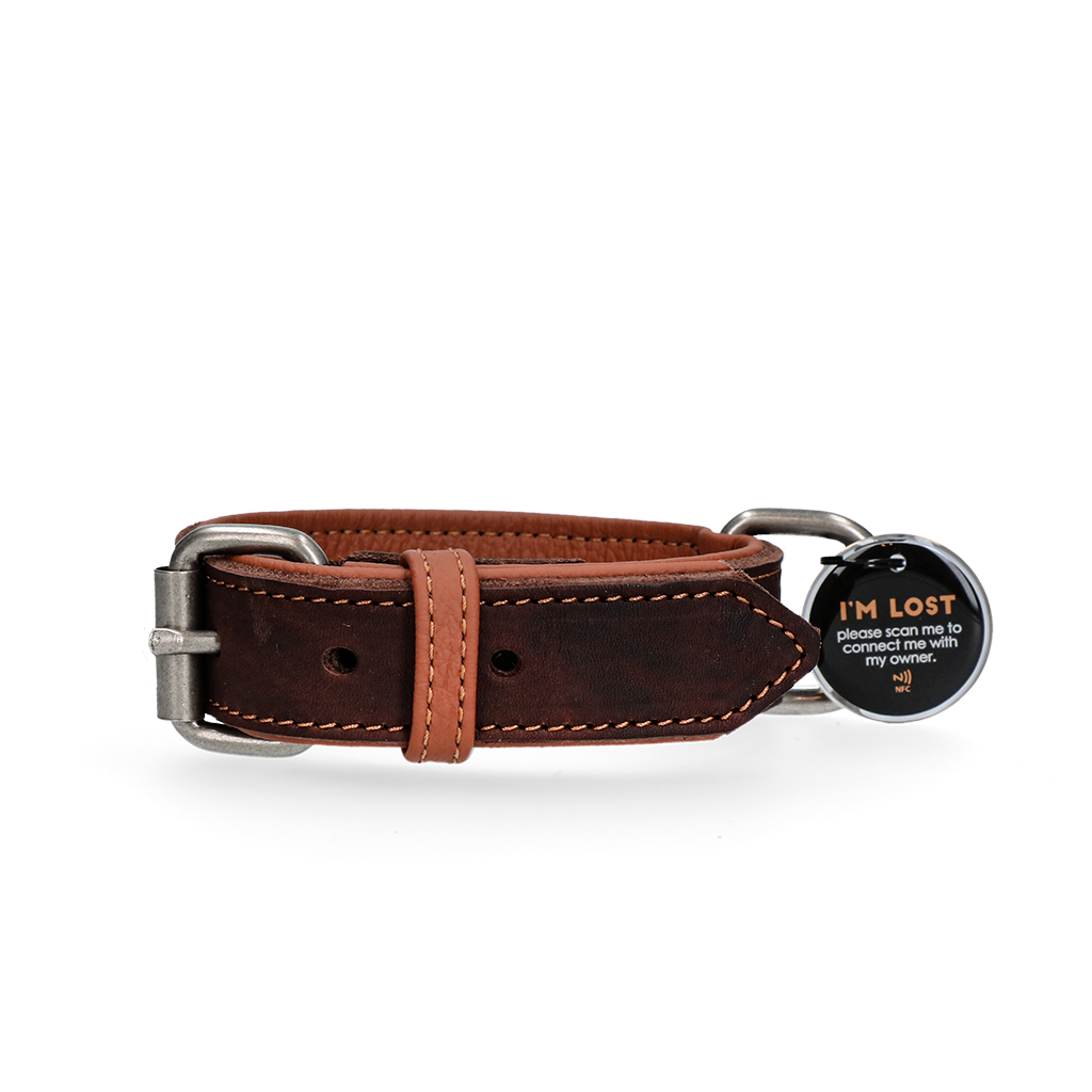 Spotted! Pro Leren Halsband Bruin 2,5 x 50 cm - Comfortabel en Duurzaam - afbeelding 1