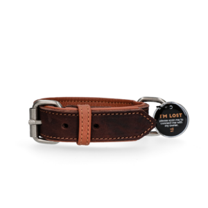 Spotted! Pro Leren Halsband Bruin 2,5 x 40 cm