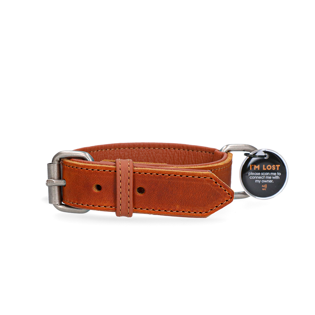 Spotted! Pro Leren Halsband Cognac 3 x 55 cm - Comfortabel en Duurzaam - afbeelding 1