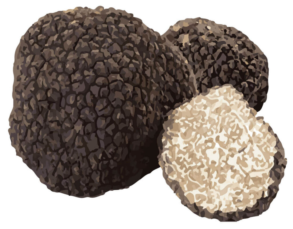 SwissCowers Cheese Bars Truffle S - 100% Natuurlijke Kaasstaaf - afbeelding 5