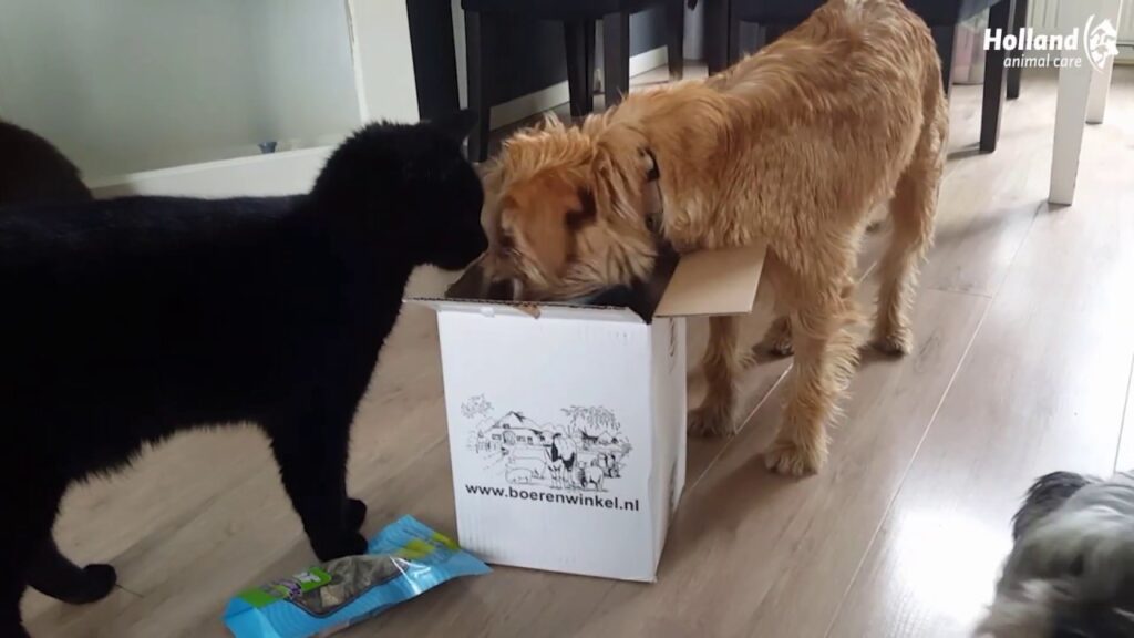Braaaf Seafood Zalm Roll Sticks - 12 cm (175 gr) - afbeelding 5