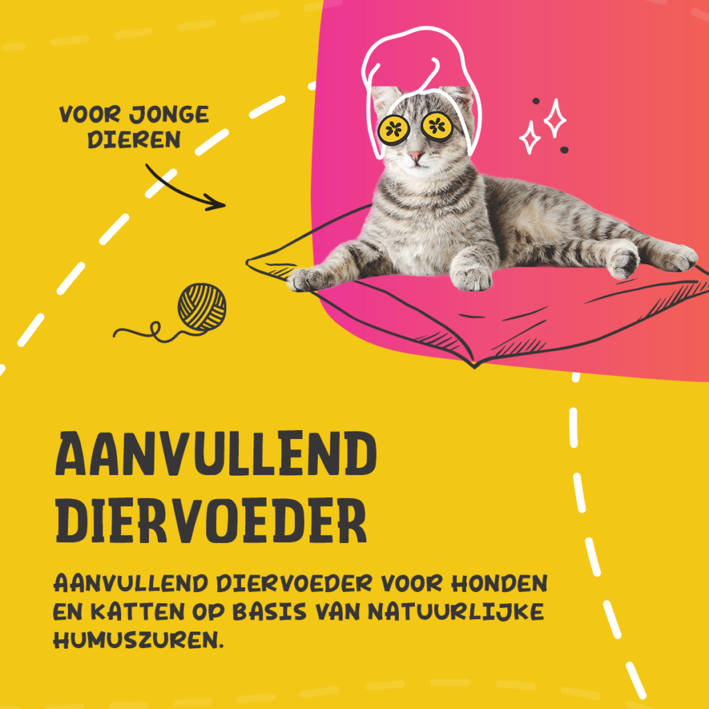 Excellent Pets Total Balance 250 ml - Supplement voor honden en katten - afbeelding 3