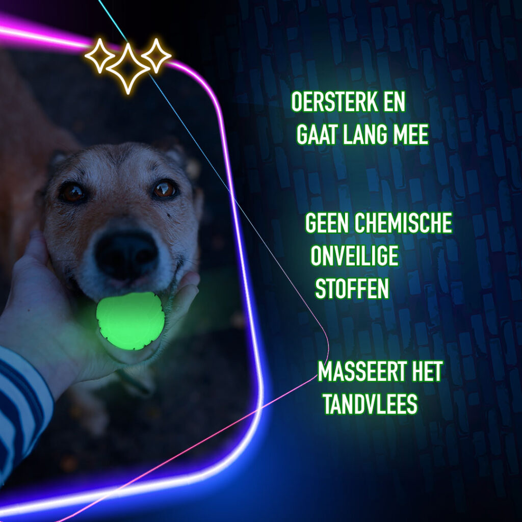 2 Glow Cracking & Tracking Bone - Speelgoed voor honden - afbeelding 6