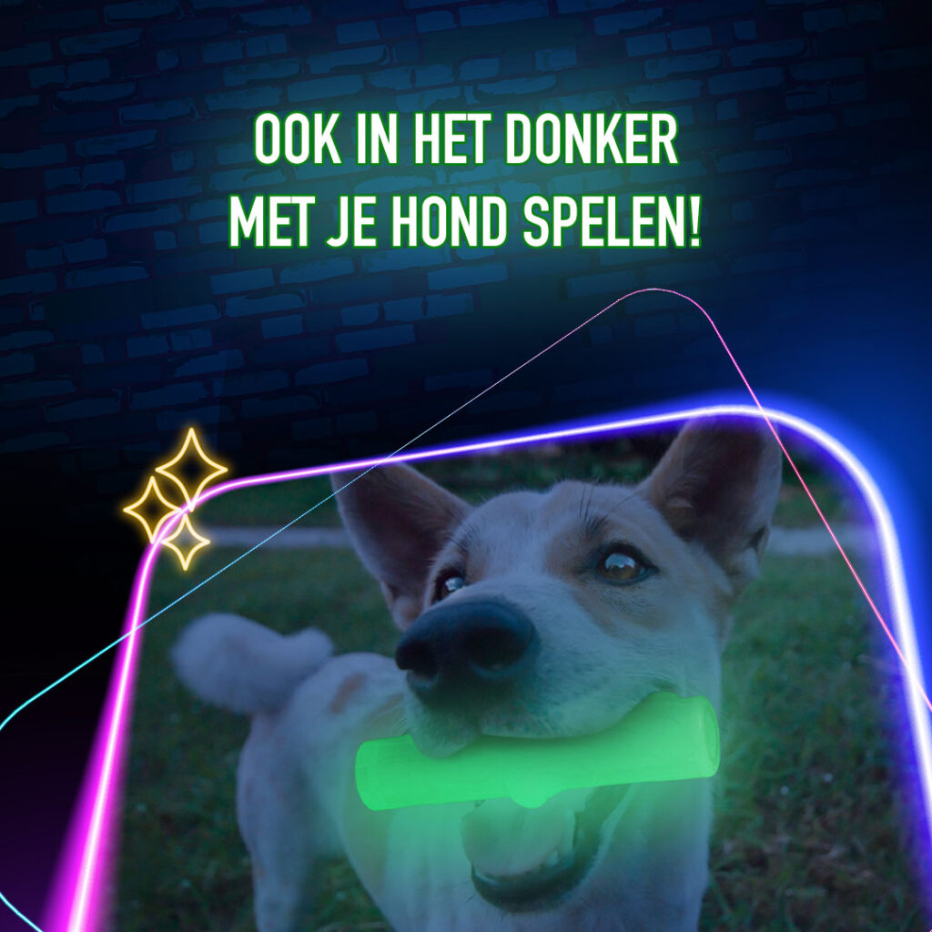 2 Glow Cracking & Tracking Stick - Speelgoed voor honden - afbeelding 5