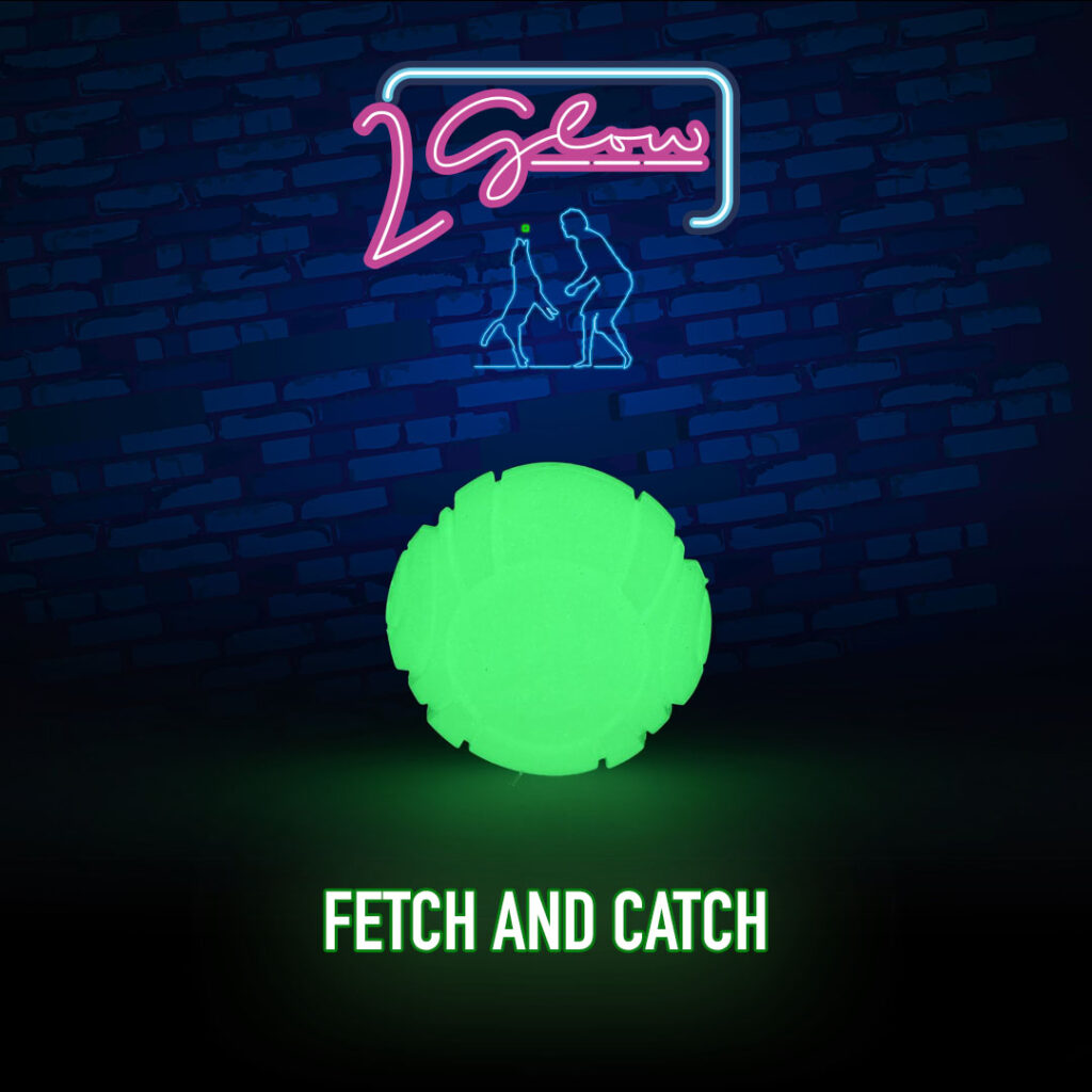 2 Glow Fetch & Play - Speelgoed voor honden met lichtfunctie - afbeelding 2