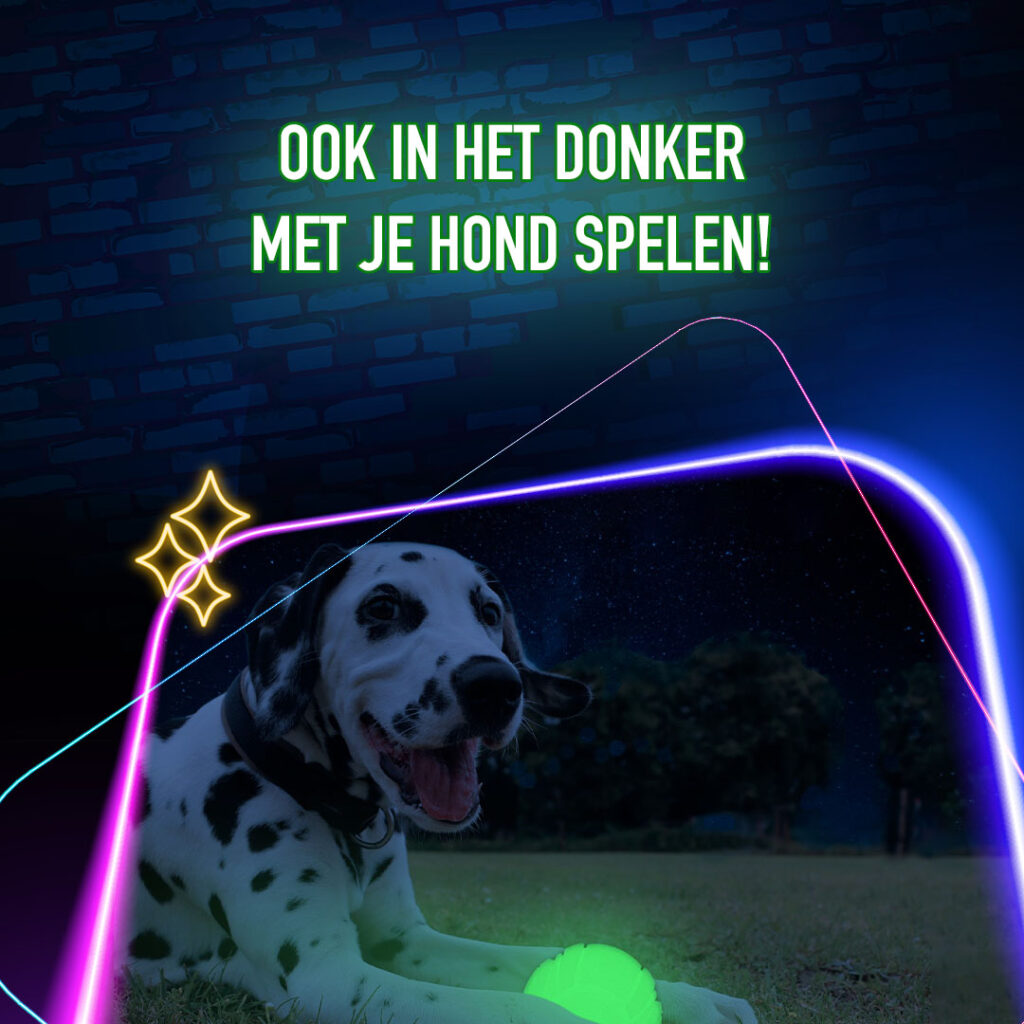 2 Glow Fetch & Play - Speelgoed voor honden met lichtfunctie - afbeelding 4