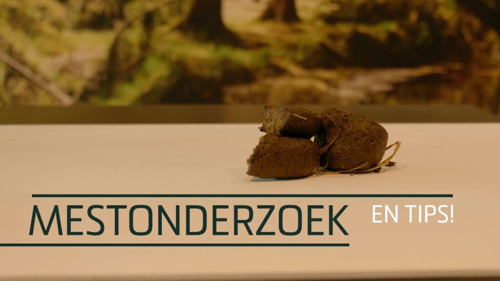 Excellent Horse Sand-Away 6 x 200 g - Zandverwijdering voor Paarden - afbeelding 2
