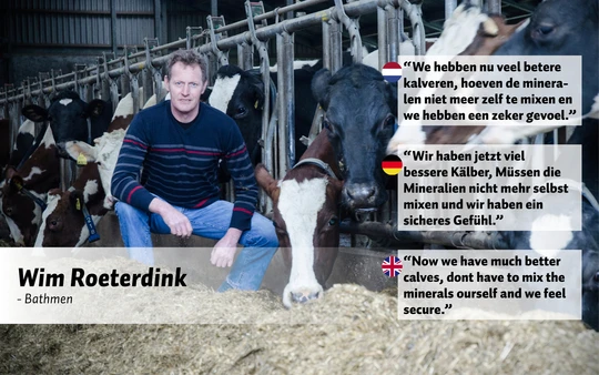 Excellent Uno Dry 20 x 103 g - Droogstandsbolus voor Rundvee - afbeelding 3