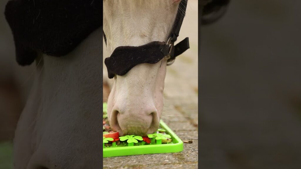 Excellent Horse Snuffle Mat - Voermat voor Paarden en Pony's - afbeelding 3