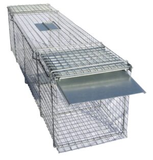 Doorloopval 122 x 29 x 32 cm - Hofman Pest Control
