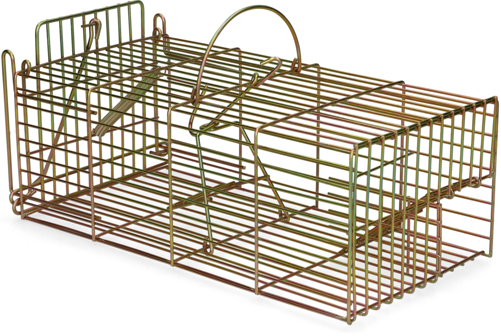 Hofman Pest Control Inloopval rat levend massa 18 x 36 x 12 cm - afbeelding 2