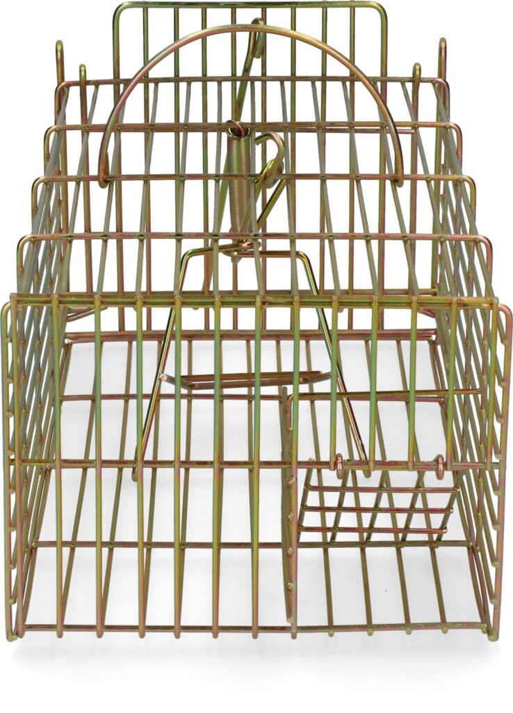 Hofman Pest Control Inloopval rat levend massa 18 x 36 x 12 cm - afbeelding 1