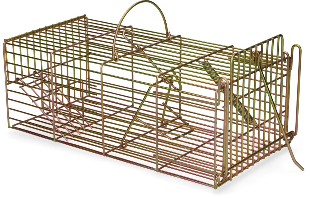Hofman Pest Control Inloopval rat levend massa 18 x 36 x 12 cm - afbeelding 3