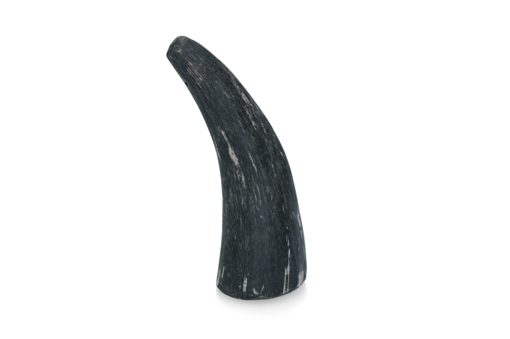 Viking Horn Whole S - Kauwsnack voor Kleine Honden - afbeelding 1