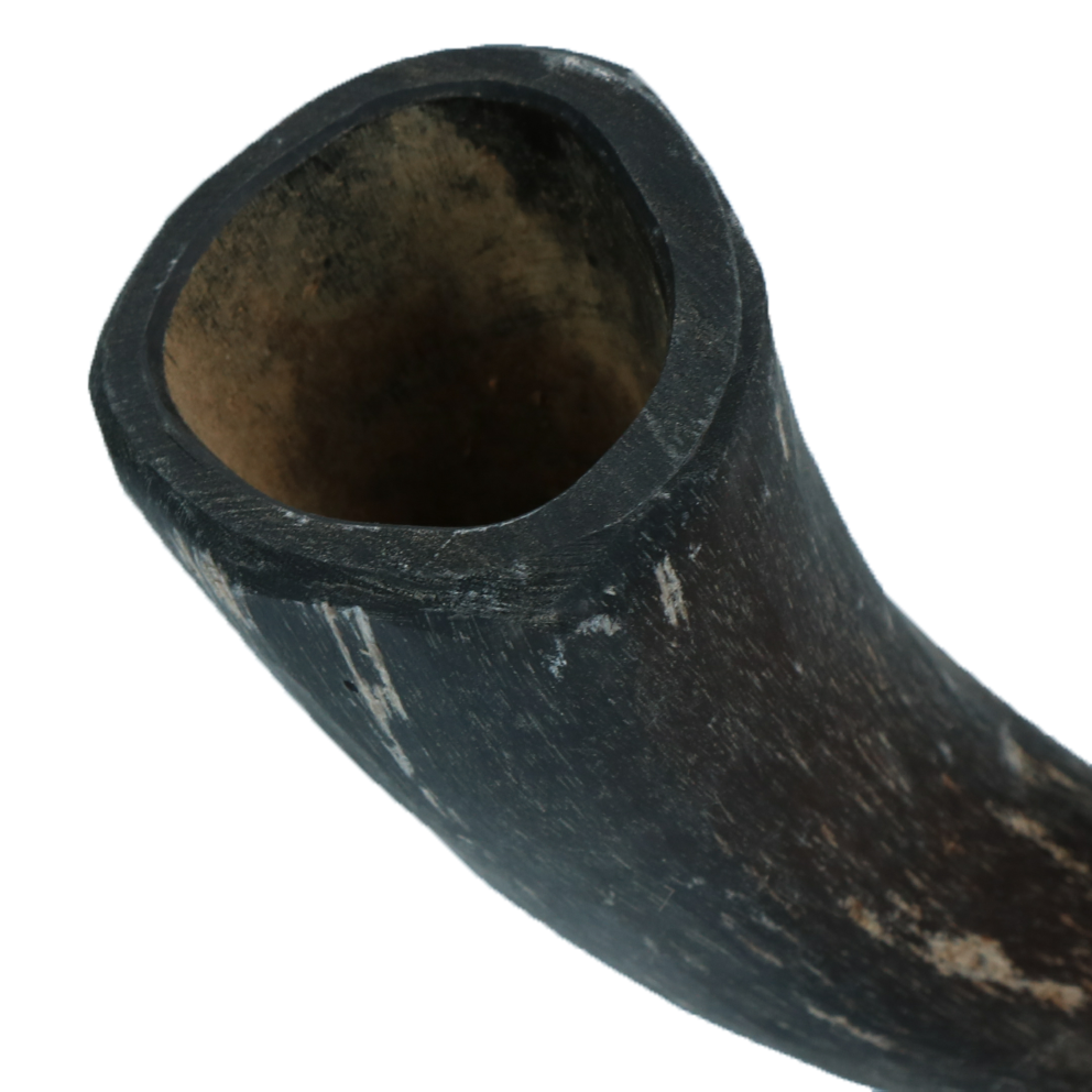 Viking Horn Whole S - Kauwsnack voor Kleine Honden - afbeelding 3