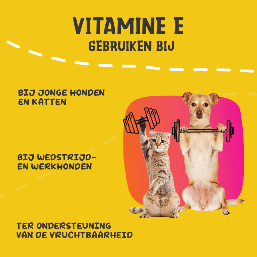 Excellent Pets Vitamin E+ 250 g - Supplement voor honden en katten - afbeelding 6
