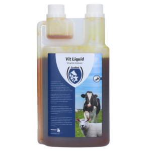 Excellent Vit Liquid Multivitamine 1 l voor Rundvee, Varkens, Paarden en Schapen