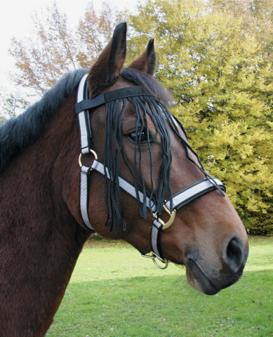 Vliegenfrontriem Paard Full Pony - Bescherming tegen vliegen - afbeelding 2