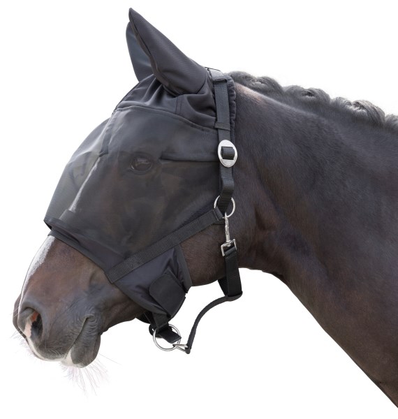Halster met geïntegreerd vliegenmasker voor Pony - afbeelding 1