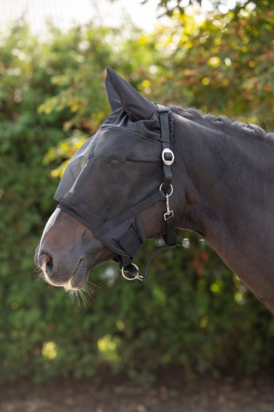 Halster met geïntegreerd vliegenmasker voor Pony - afbeelding 3