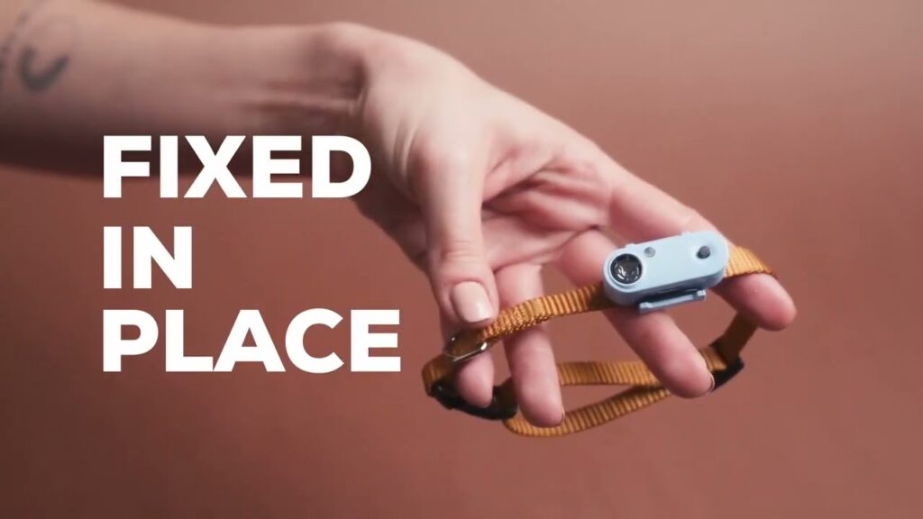 Tickless Mini Dog Oplaadbaar Zwart - Ultrasoon Tegen Vlooien en Teken - afbeelding 2