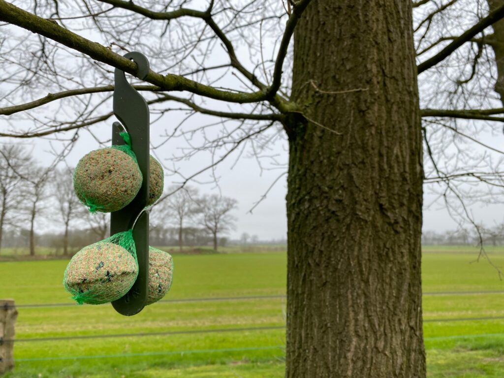 Vplast Ophanghaak voor Mezenbolletjes - 24,5 cm - afbeelding 6