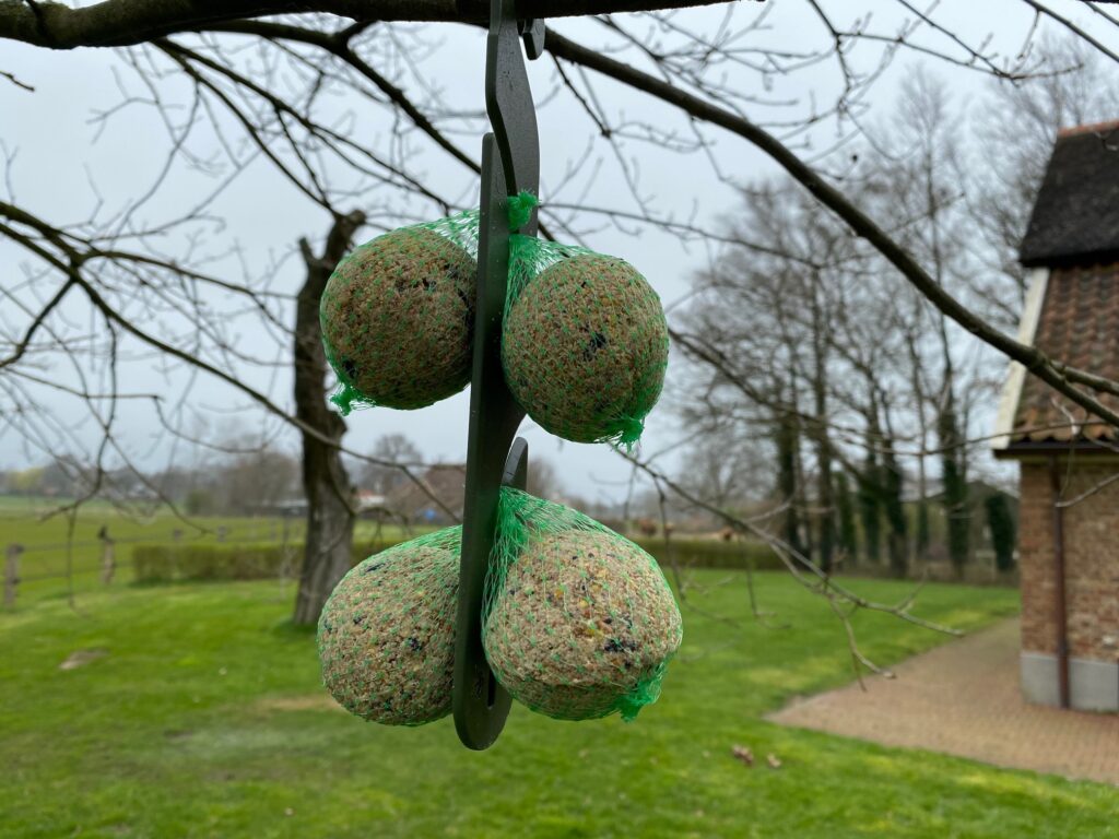 Vplast Ophanghaak voor Mezenbolletjes - 24,5 cm - afbeelding 4