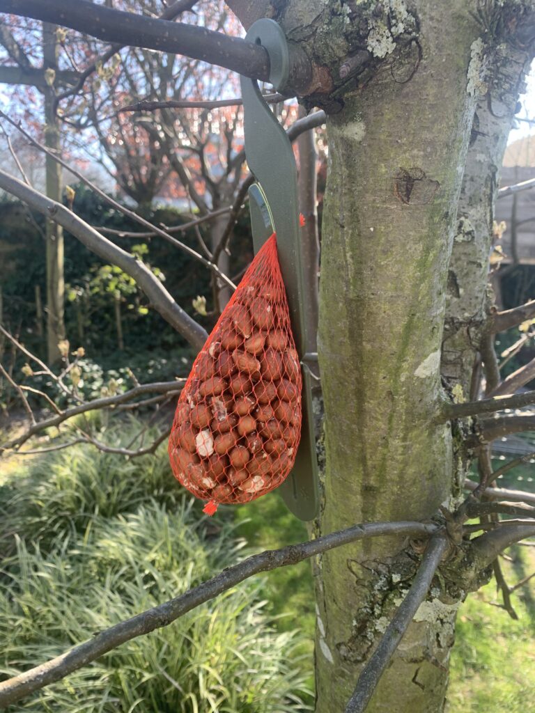 Vplast Ophanghaak voor Mezenbolletjes - 24,5 cm - afbeelding 5