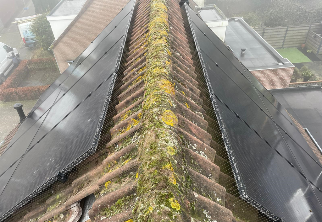 Vogelpinnen Zonnepanelen 50 cm Zwart - Bescherming tegen vogels en marters - afbeelding 2