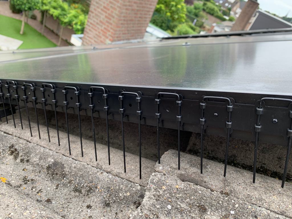 Vogelpinnen Zonnepanelen 50 cm Transparant - 50 stuks - afbeelding 4