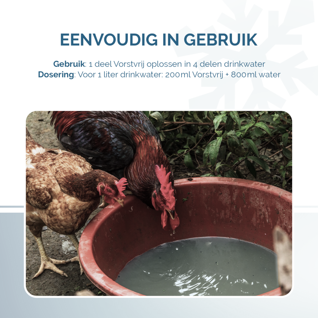 Excellent Vorstvrij 1 l - Houdt drinkwater vorstvrij tot -9 ℃ - afbeelding 3