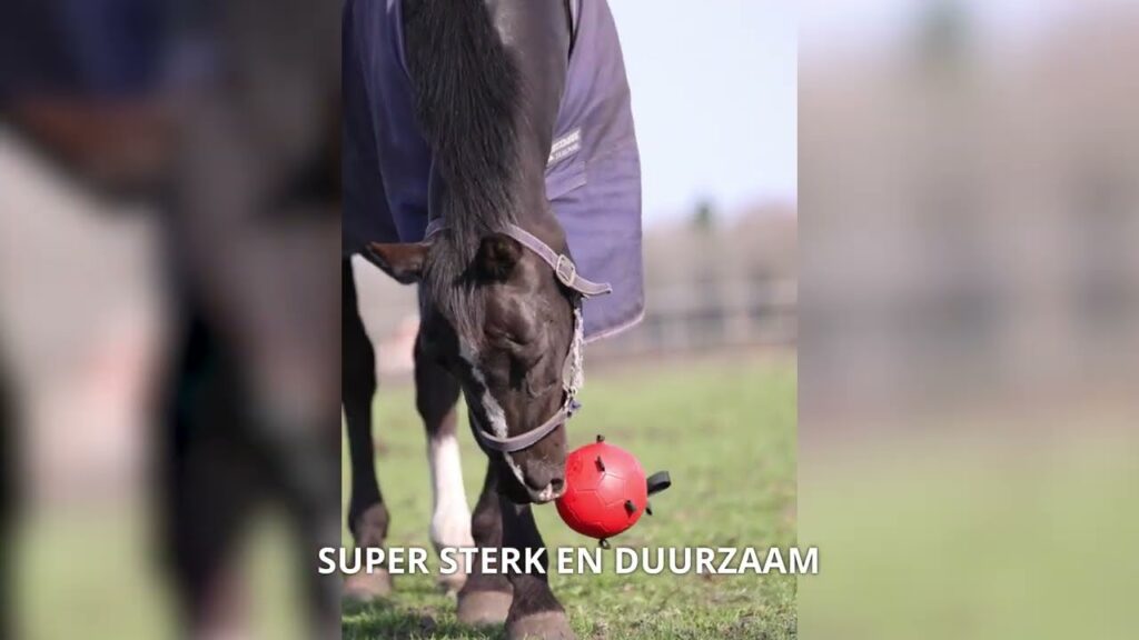 Excellent Horse Fun Play Ball Rood - Duurzame Speelbal voor Paarden - afbeelding 3