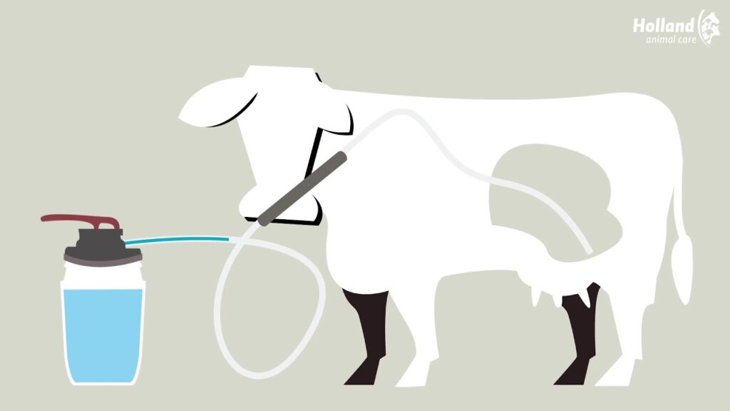 Excellent Cow Drencher - Professionele penspomp voor koeien - afbeelding 4