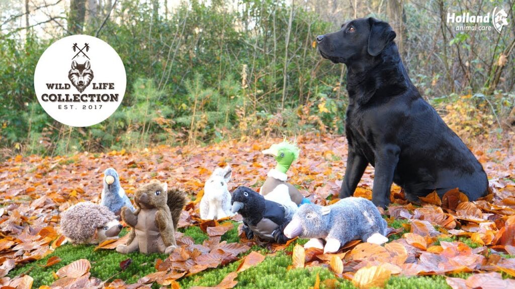 Wild Life Dog Eenkhoorn - Pluche Hondenspeeltje - afbeelding 4