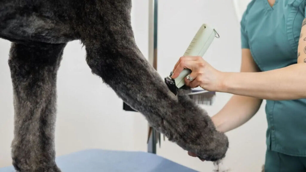 Wahl KMC+ Snoer/Snoerloze Trimmer voor Hond, Kat en Paard - afbeelding 3