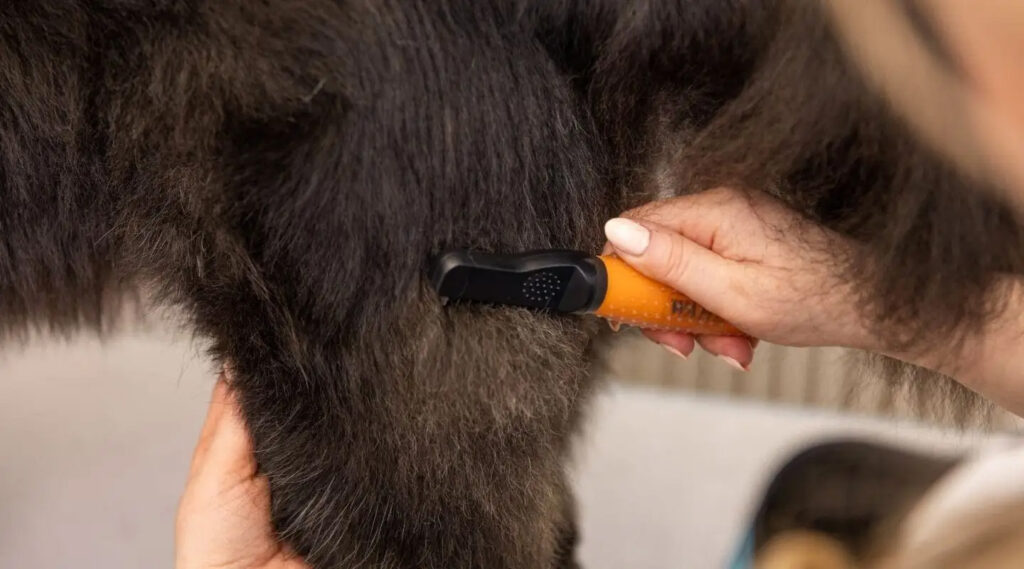 Wahl Dematter Ontklitterkam voor Honden - Voor Krullende en Golvende Vachten - afbeelding 4