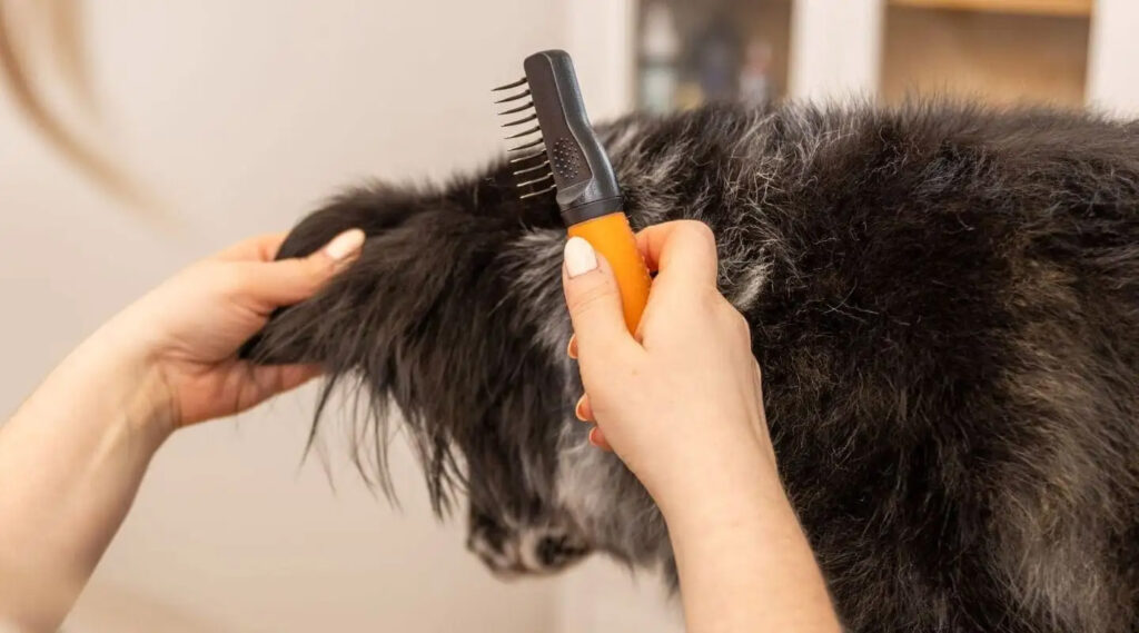 Wahl Dematter Ontklitterkam voor Honden - Voor Krullende en Golvende Vachten - afbeelding 3