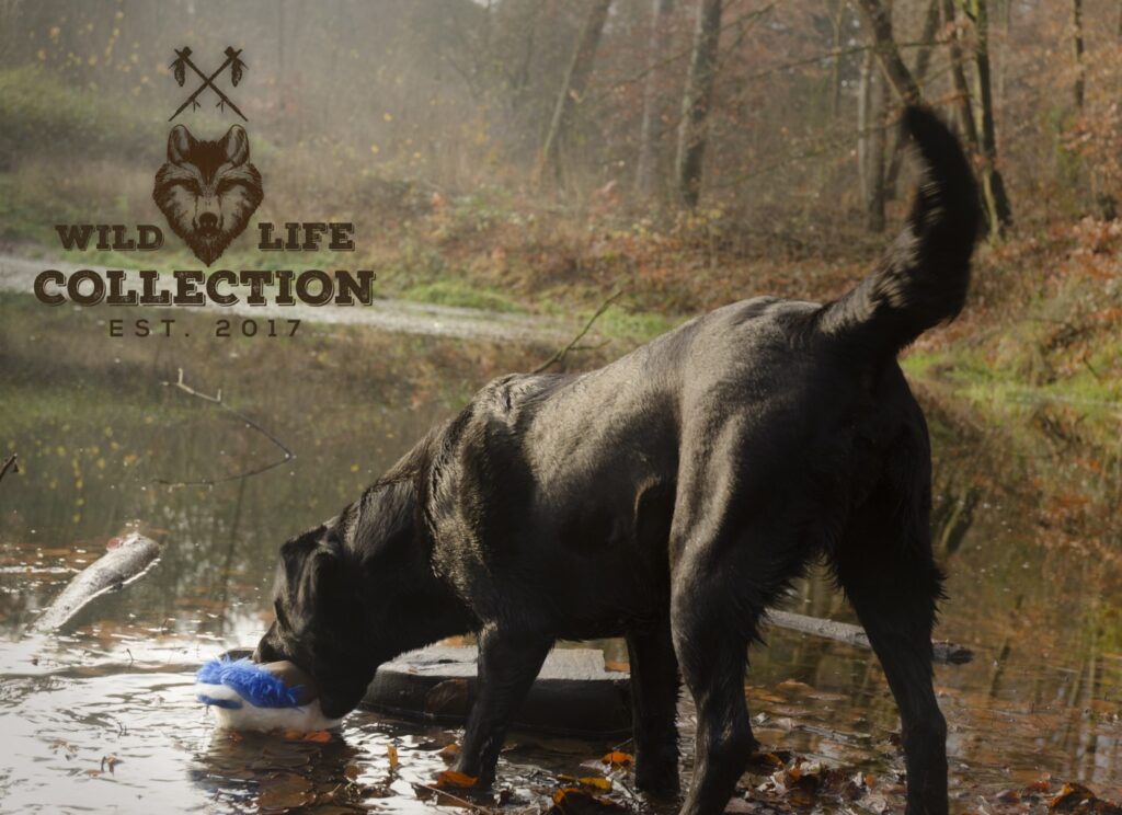 Wild Life Dog Eend - Pluche Hondenspeeltje van Wild Life Collection - afbeelding 5