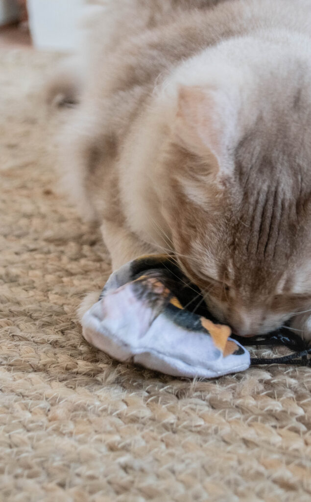 Wild Life Cat Hommel - Speelgoed voor Katten met Kattenkruid - afbeelding 4