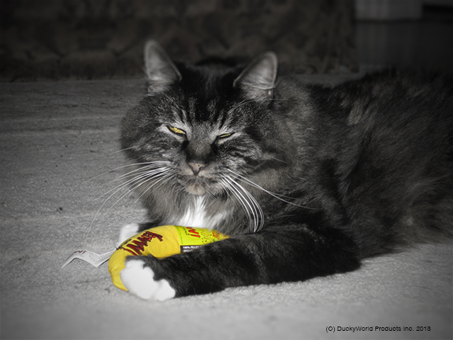 Yeowww! Chicata Banana - Kattenspeelgoed met krachtige Catnip - afbeelding 3