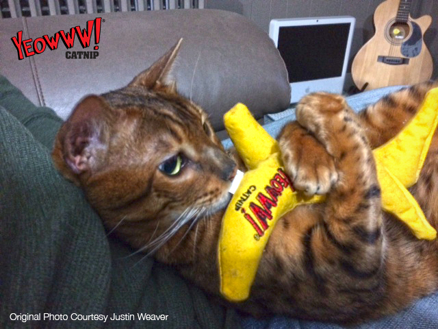 Yeowww! Chicata Banana - Kattenspeelgoed met krachtige Catnip - afbeelding 5