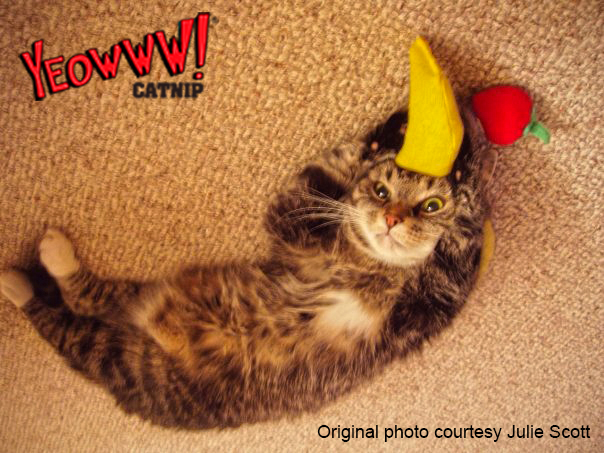 Yeowww! Chicata Banana - Kattenspeelgoed met krachtige Catnip - afbeelding 4